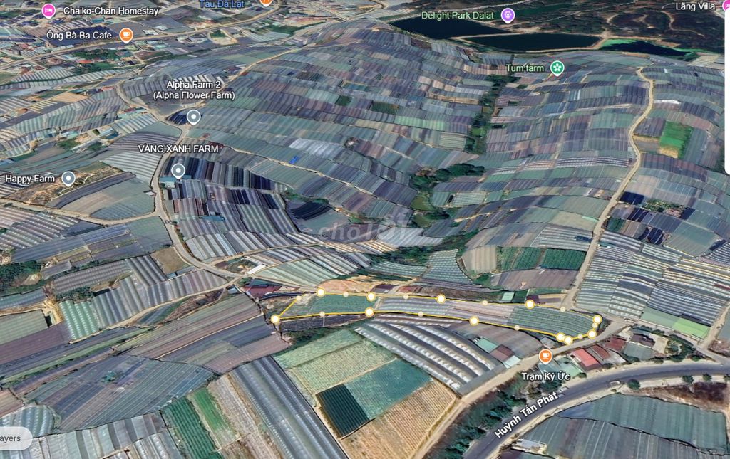 Bán đất tại đường Huỳnh Tấn Phát, Phường 11, Đà Lạt, 70 tỷ, 4500 m2
