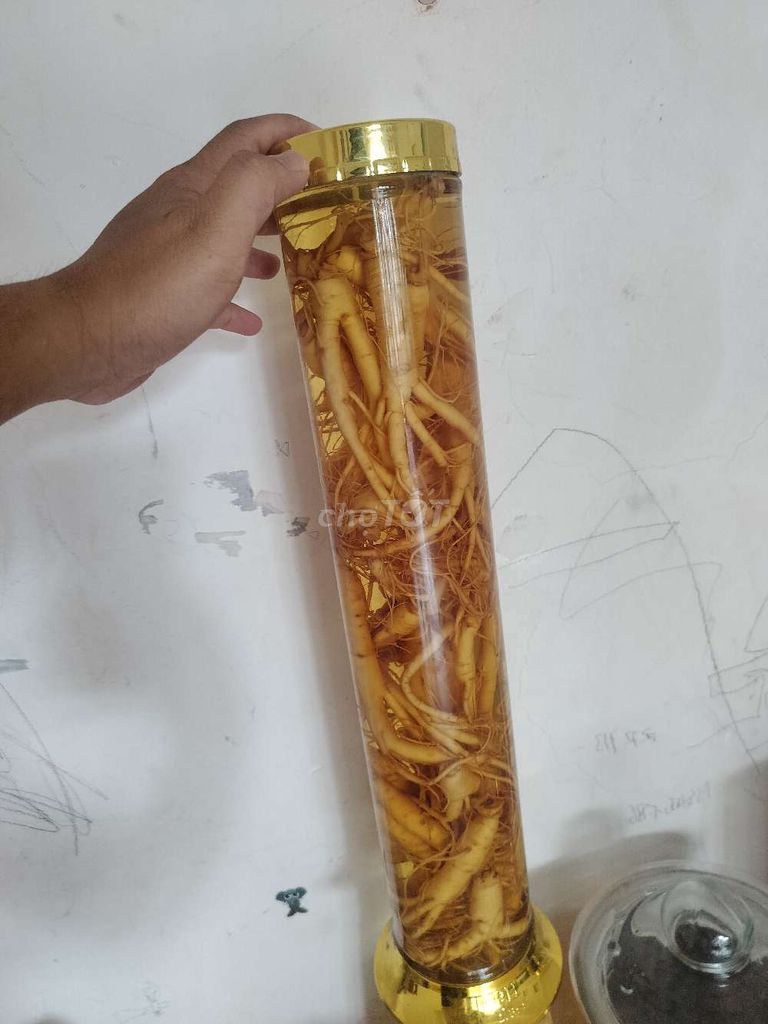 Nhân sâm ngâm Vàng bồi bổ sức khỏe. Mua bán Đồ ăn, thực phẩm và các loại khác tại Thành phố Buôn Ma Thuột Đắk Lắk được đăng bởi MR chinh hình 1