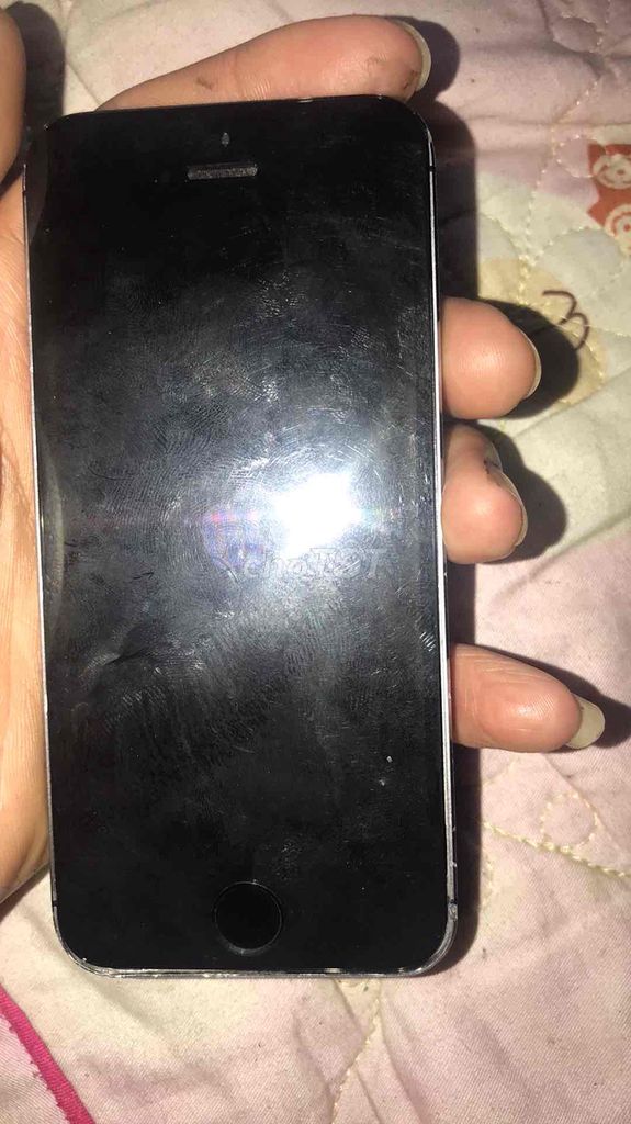 Apple iPhone 5S Xám. Mua bán Điện thoại tại Huyện Na Rì Bắc Kạn được đăng bởi Phú Nông hình 1