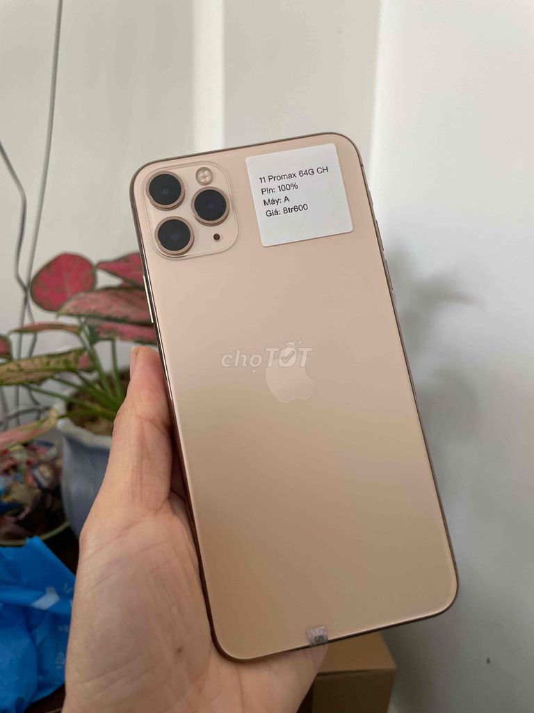 iphone 11 Promax 64G Quốc tế Gold P99 Zin Đẹp 99