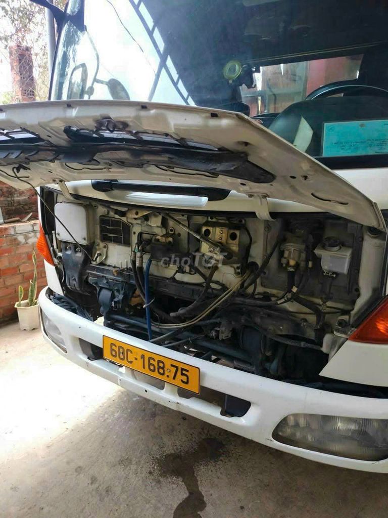 Ảnh số 7