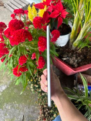 bán ipad air1 fun. Mua bán Máy tính bảng tại Thành phố Dĩ An Bình Dương được đăng bởi ahung