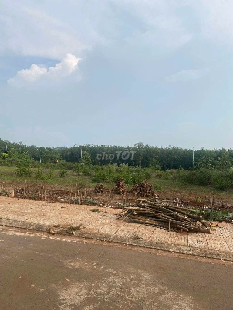 Bán Lỗ 600tr Đất Biệt Thự Huyện Cẩm Mỹ Cách Sân Bay Long Thành 20 Phút. Mua bán đất tại Huyện Cẩm Mỹ Đồng Nai được đăng bởi Phát Đất Xanh Group hình 3