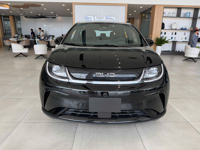 BYD Dolphin 2026 , ưu đãi 70tr cho KH đặt xe sớm