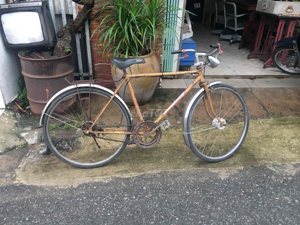 xe đạp xưa decor quán xá
