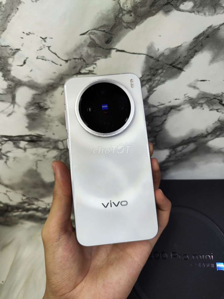 Vivo X200 Pro Mini