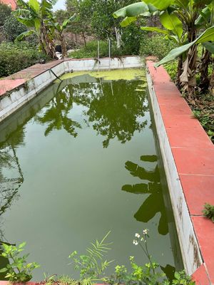 Bán nhà thôn Đan tảo. Mua bán nhà ở tại Huyện Sóc Sơn Hà Nội được đăng bởi giangHP Nguyenthi