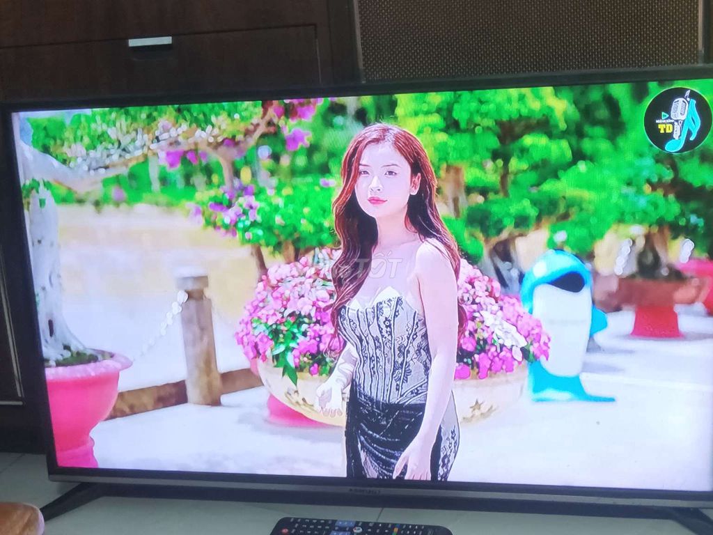 TV LED ASANZO 32IN HÌNH ẢNH MÀU SÁNG ĐẸP CÓ DVB T2. Mua bán Tivi, Âm thanh tại Huyện Bình Chánh Tp Hồ Chí Minh được đăng bởi pham quang vinh hình 1