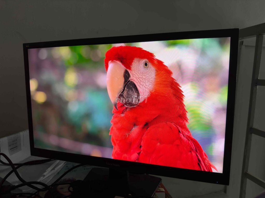 MÀN VIEWSONIC 24" 60hz CHO ANH EM MUA VỀ SỬ DỤNG