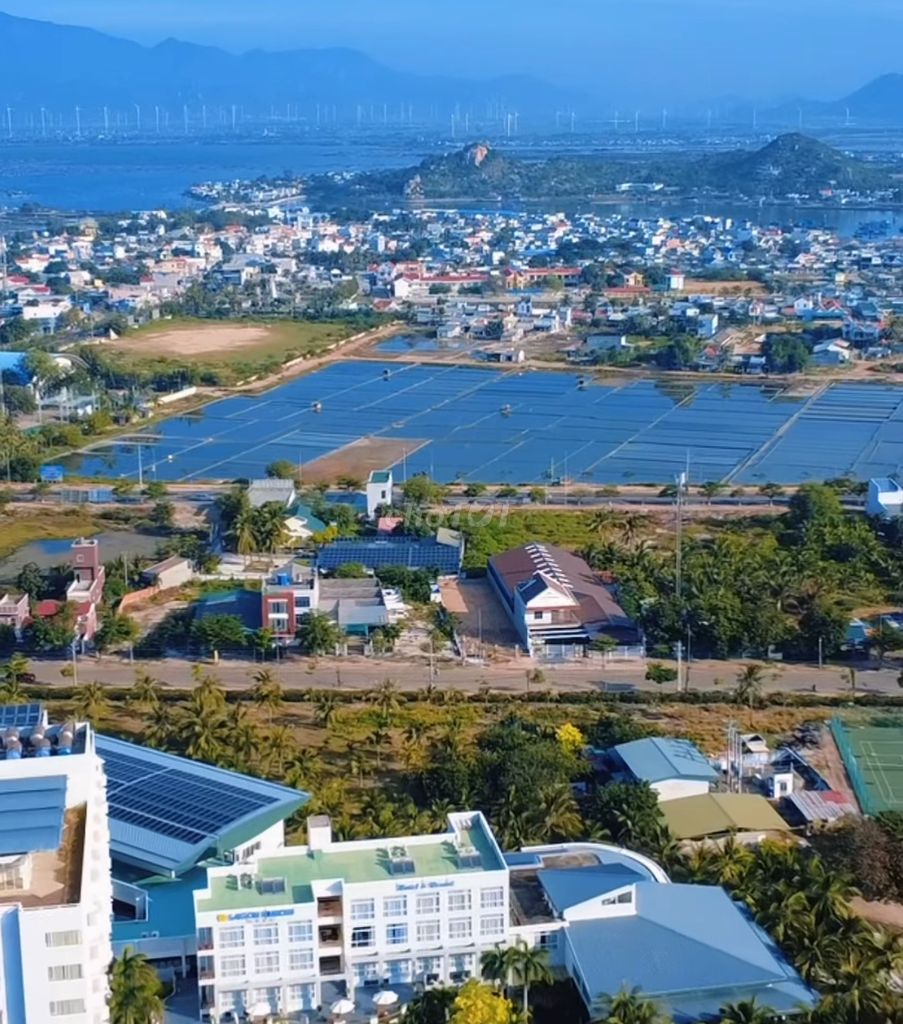 Cần Bán Đất Ngay Biển Ninh Chử - Ninh Thuận