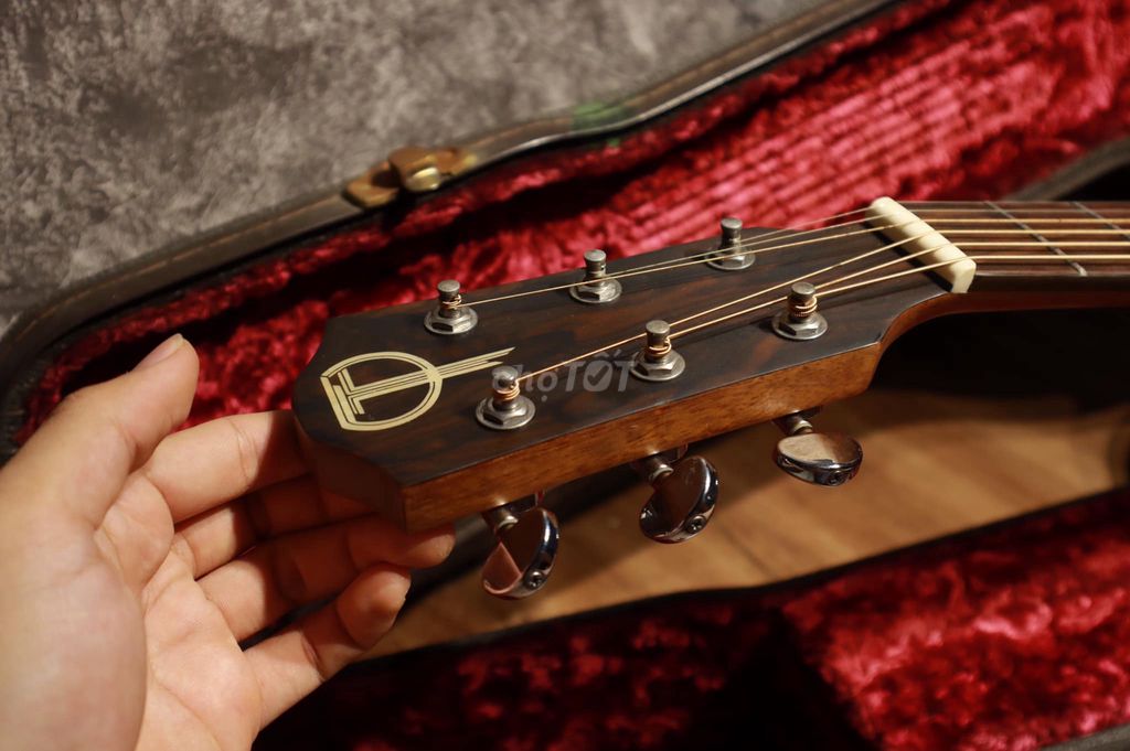 Guitar Teton Mỹ Sts000Zigce cực đẹp