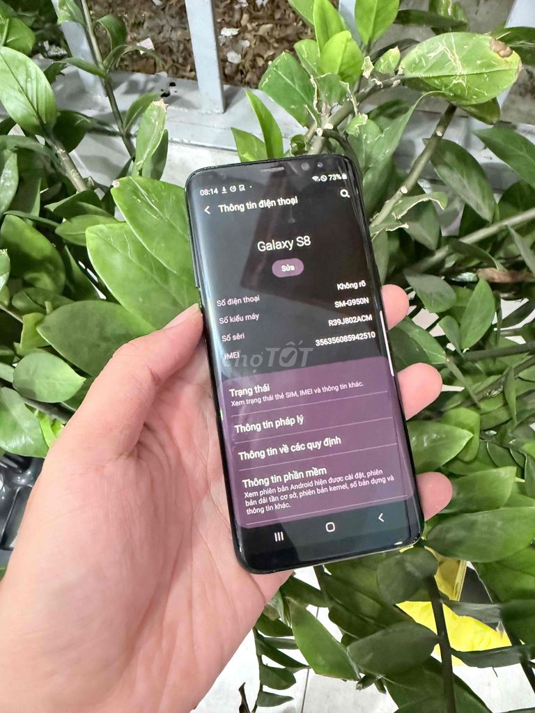 Samsung Galaxy S8 64G giá sinh viên. Mua bán Điện thoại tại Thành phố Vũng Tàu Bà Rịa - Vũng Tàu được đăng bởi Hoàng Cường hình 1