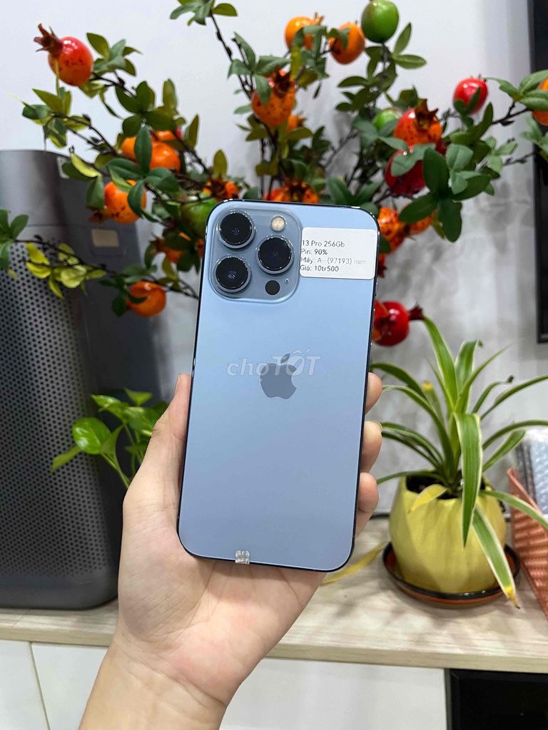 iPhone 13 Pro 256GB Xanh dương KH/A máy đẹp. Mua bán Điện thoại tại Huyện Hóc Môn Tp Hồ Chí Minh được đăng bởi Luân Hoài hình 1