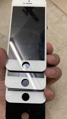 Màn hình zin máy iphone 5 5s 5c cảm ok zjn. Mua bán Linh kiện (RAM, Card...) tại Quận Tân Phú Tp Hồ Chí Minh được đăng bởi Min Min