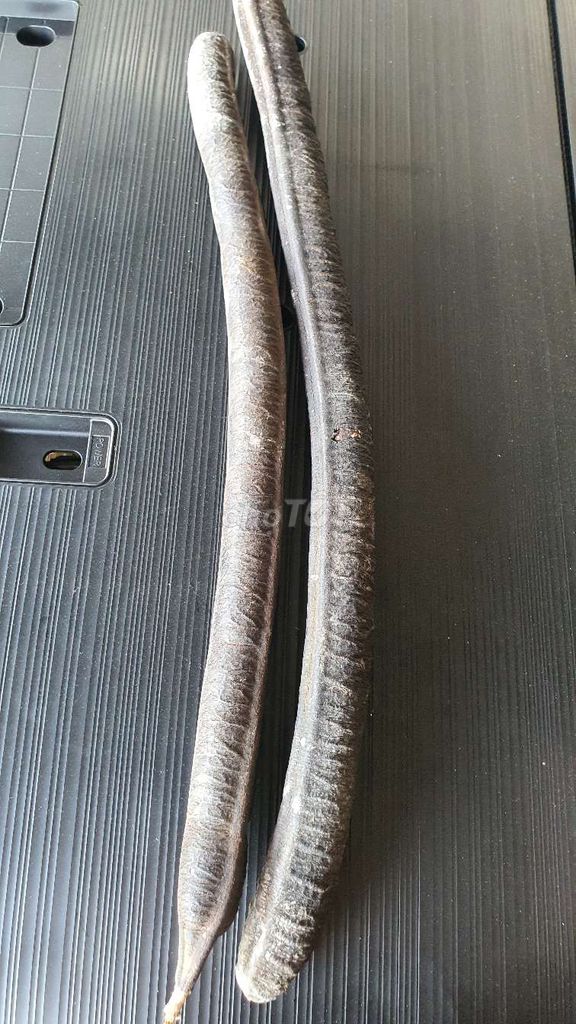 Cây cảnh trang trí. Mua bán Cây cảnh, đồ trang trí tại Thành phố Tân An Long An được đăng bởi Nhân Khánh Hậu hình 1