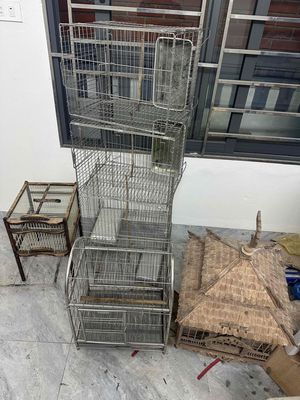 Lồng chim kim loại gỗ bạc nâu đã dùng. Mua bán Phụ kiện, Thức ăn, Dịch vụ tại Quận Nam Từ Liêm Hà Nội được đăng bởi Trung