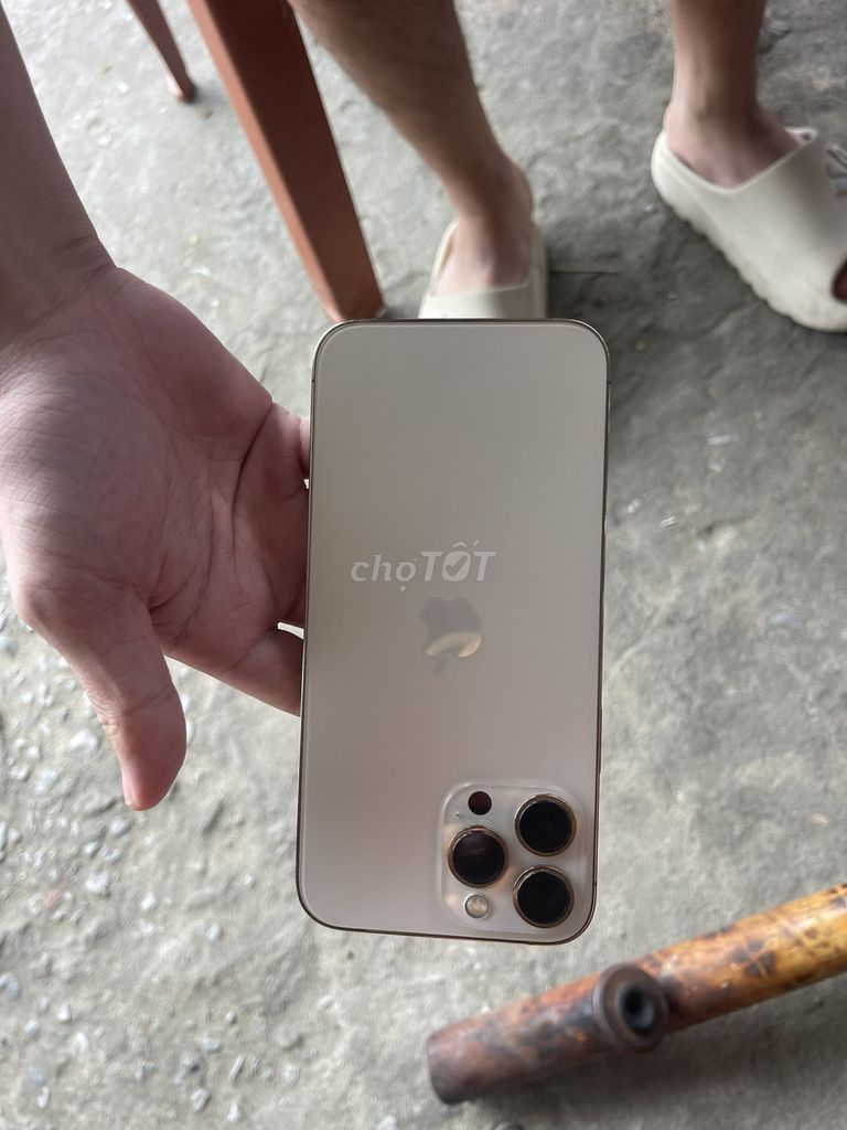 Apple iPhone 13 Pro Max 256GB Vàng Đã qua sử dụng. Mua bán Điện thoại tại Thành phố Sầm Sơn Thanh Hóa được đăng bởi Lê Trung Đạt hình 1