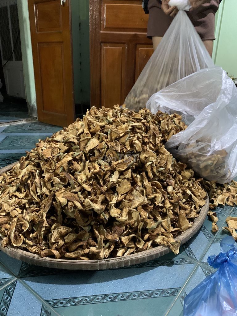 Bí đao Bình Định. Mua bán Đồ ăn, thực phẩm và các loại khác tại Huyện Phù Mỹ Bình Định được đăng bởi Làng Bí đao khổng lồ hình 1