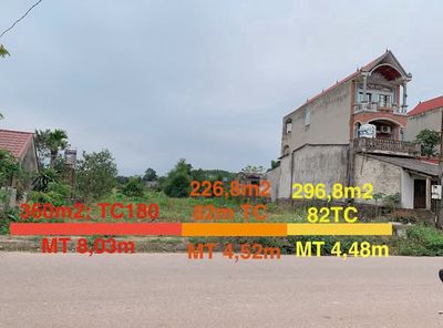 Bán đất 82m2 có 300m2 đất ở tại Đồng Tâm - Yên Thế - Bắc Giang