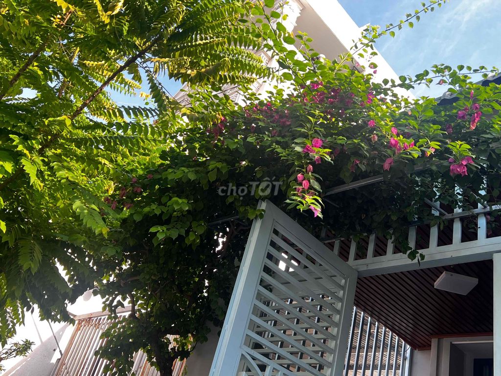 Nhà cấp 4 mới có lửng