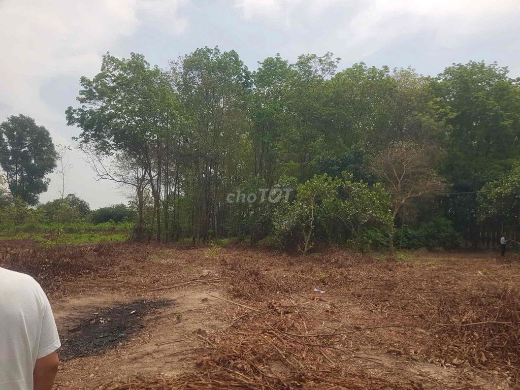 CHÍNH CHỦ BÁN ĐẤT GẦN BỆNH VIỆN NHƠN TRẠCH. Mua bán đất tại Huyện Nhơn Trạch Đồng Nai được đăng bởi Phát Đất Xanh Group hình 5