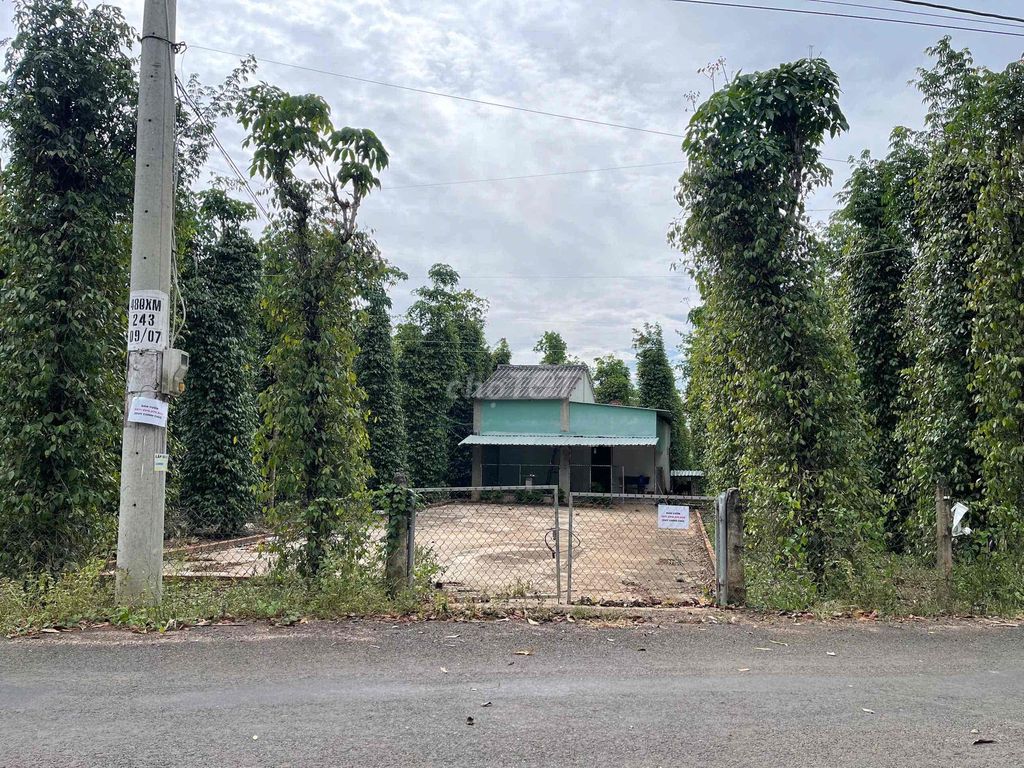 ĐẤT VƯỜN XUYÊN MỘC VỊ TRÍ ĐẸP. Mua bán Đất tại Huyện Xuyên Mộc Bà Rịa - Vũng Tàu được đăng bởi Joyce Nguyen hình 9