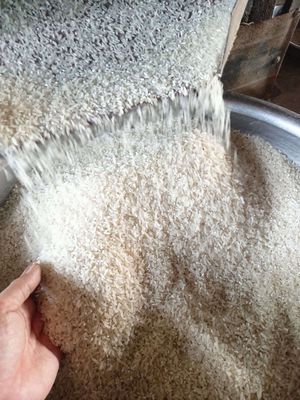 10kg gạo quê mềm, dẻo vừa,ngon cơm. Mua bán Đồ ăn, thực phẩm và các loại khác tại Quận Cẩm Lệ Đà Nẵng được đăng bởi Ny 