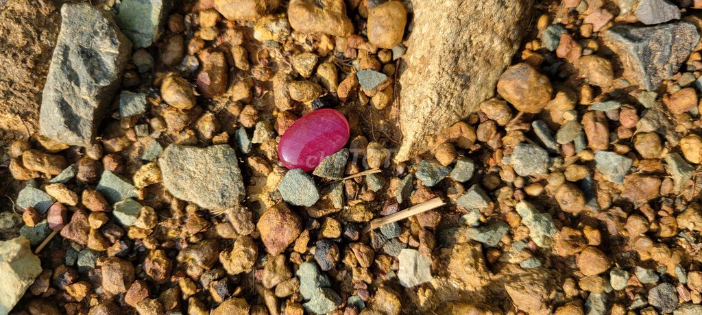 Đá Ruby Đỏ Nam