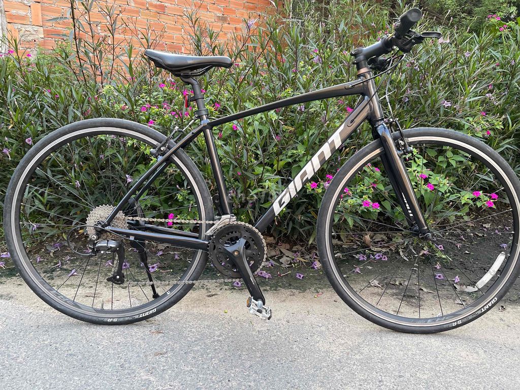 GIANT RX nội địa nhật. Mua bán Xe đạp tại Quận 12 Tp Hồ Chí Minh được đăng bởi  hồng nguyễn bike hình 3