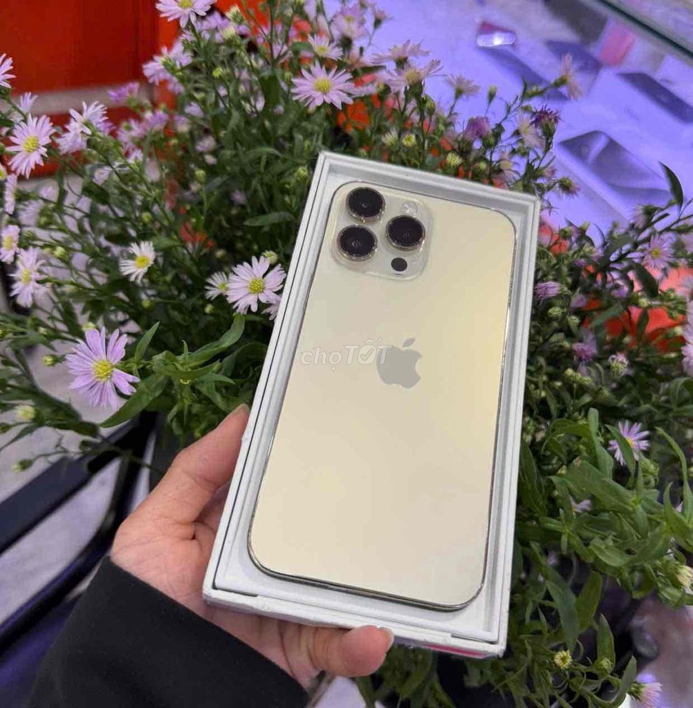14 Pro max 512 gold QTế Mỹ pin 93%. Mua bán Điện thoại tại Quận 3 Tp Hồ Chí Minh được đăng bởi Nam Á Mobile hình 3