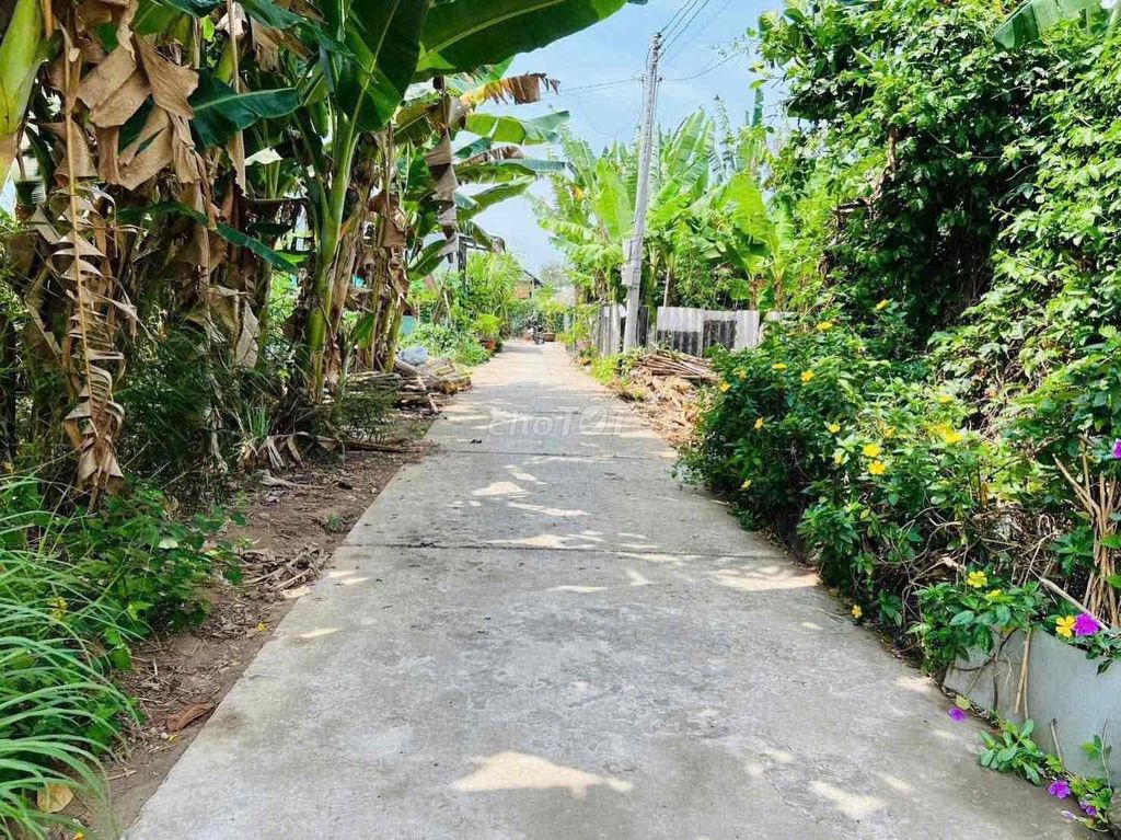 bán đất nền