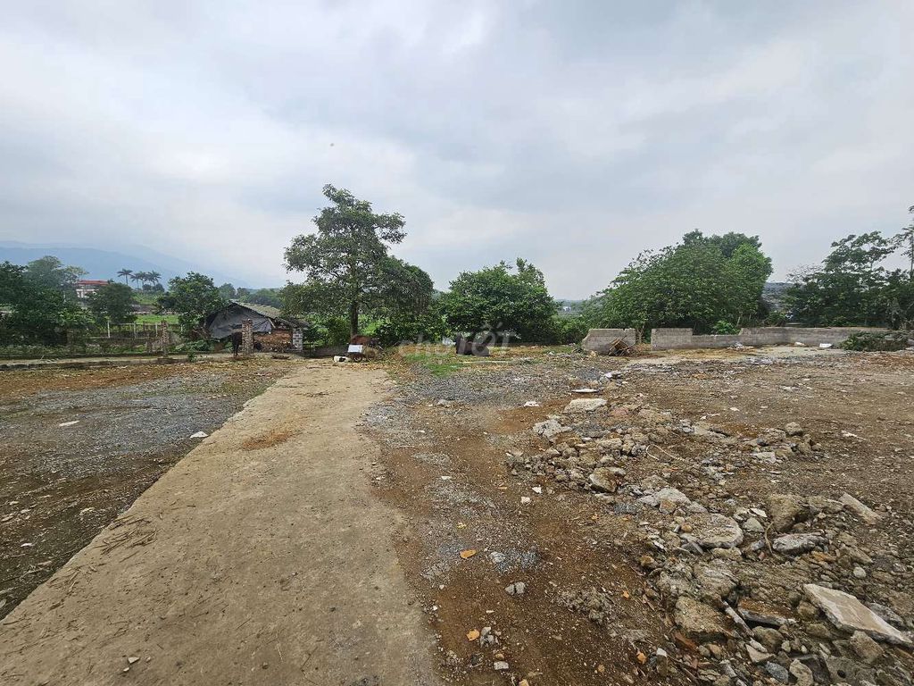 CẦN BÁN 150M2 MẶT ĐƯỜNG TRÁN VOI, PHÚ MÃN QUỐC OAI, HÀ NỘI. Mua bán đất tại Huyện Quốc Oai Hà Nội được đăng bởi Thien nghiem Le hình 2