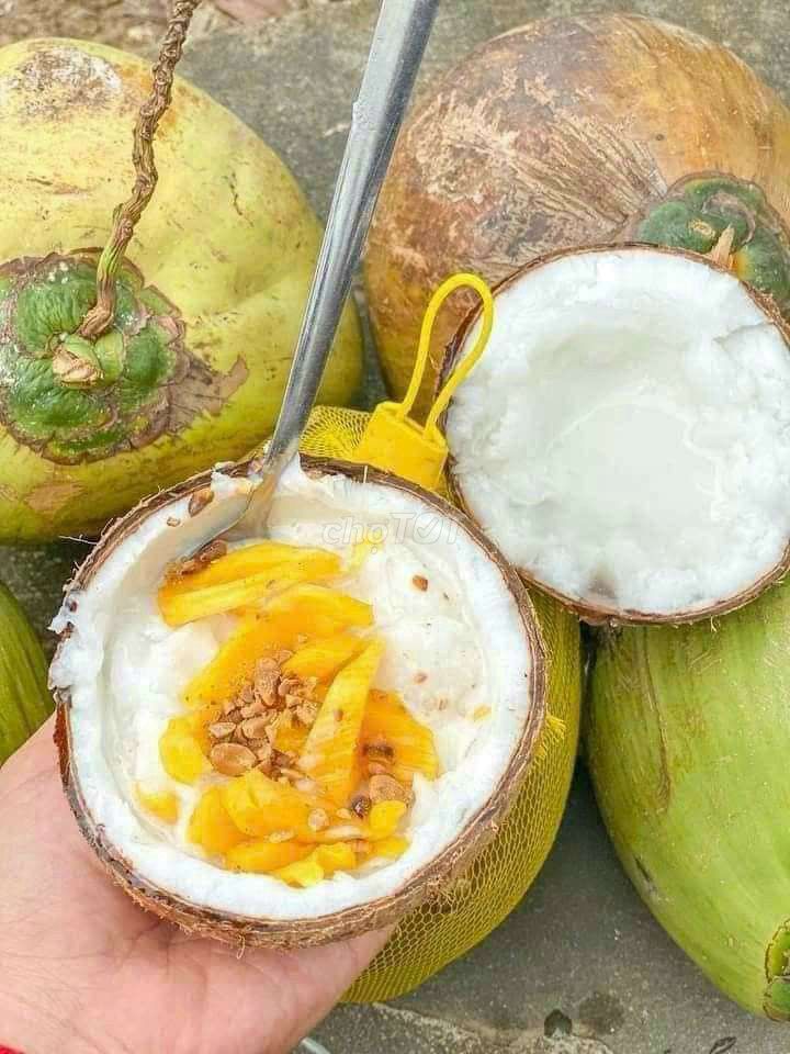 Dừa sáp