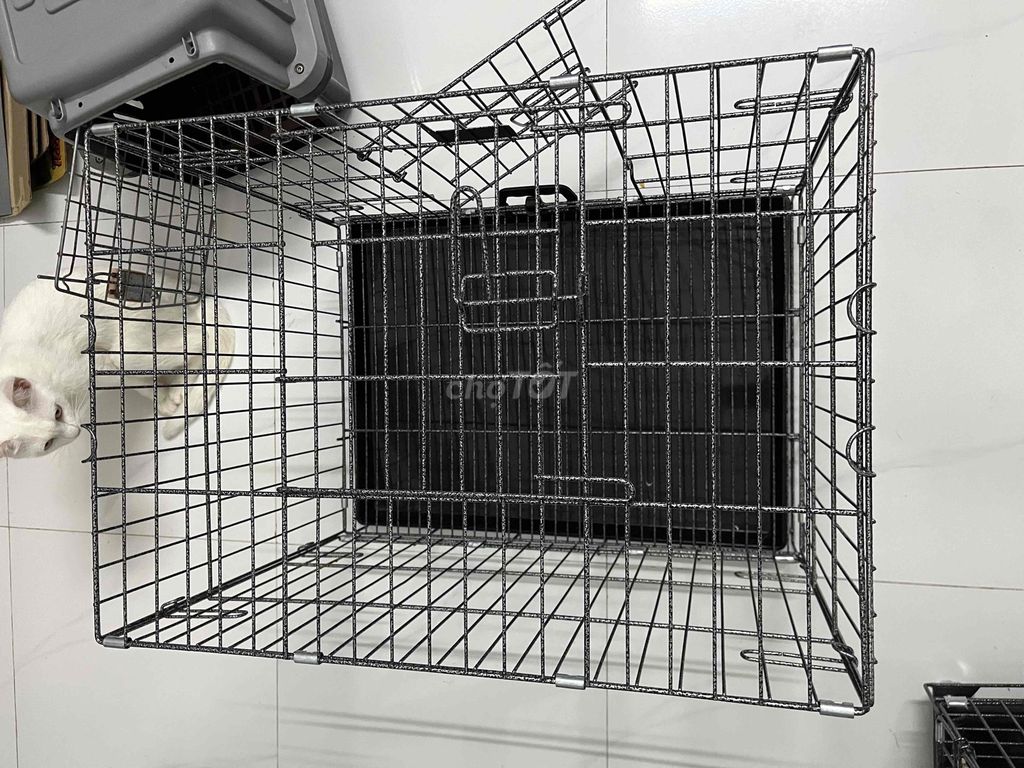 Lồng chó mèo Size M hàn. Mua bán Phụ kiện, Thức ăn, Dịch vụ tại Quận Cái Răng Cần Thơ được đăng bởi Võ Long Ẩn hình 1