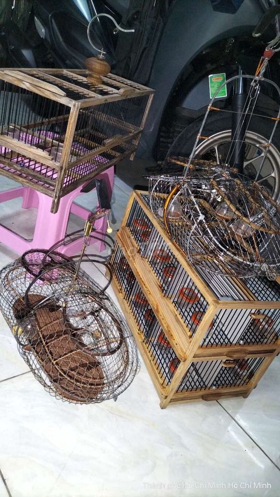 Lồng chim Gỗ Kim loại Vuông 12 hộc Mini. Mua bán Phụ kiện, Thức ăn, Dịch vụ tại Quận 11 Tp Hồ Chí Minh được đăng bởi NHÂN  hình 1
