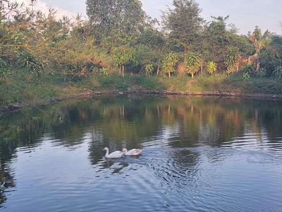 Bán 1,5 ha đất mặt tiền đường liên huyện xã Bảo Quang, TP Long Khánh. Mua bán đất tại Thành phố Long Khánh Đồng Nai được đăng bởi Lê Thị Thùy Trang