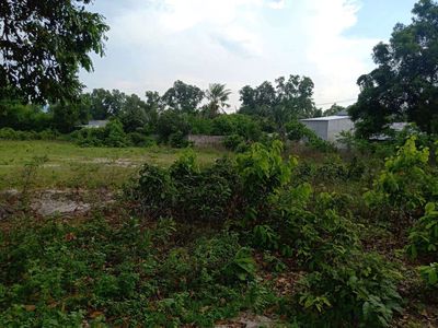 Đất mặt tiền ngay ngã 3. Mua bán đất tại Huyện Tịnh Biên An Giang được đăng bởi Huỳnh Kim Xuyến
