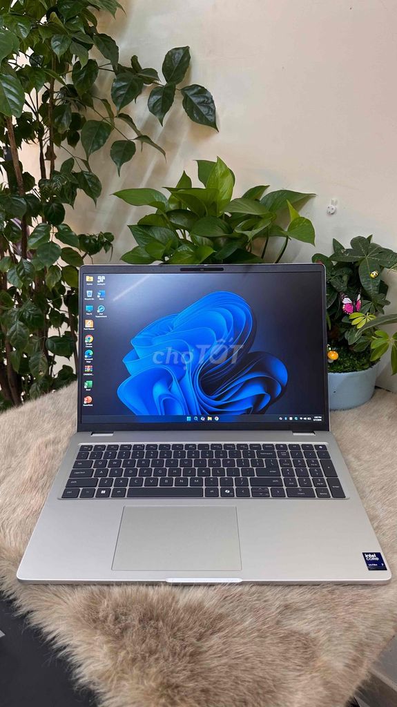 Dell Pro 16 Plus AI PC Core Ultra 7 16GB/256GB Bạc. Mua bán Laptop tại Quận 5 Tp Hồ Chí Minh được đăng bởi PT Store Q5 HCM hình 1