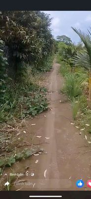 bán. 3,4 công đât gần 922
