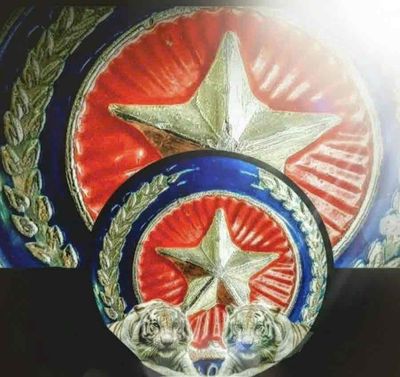 THẮNG LỢI logo