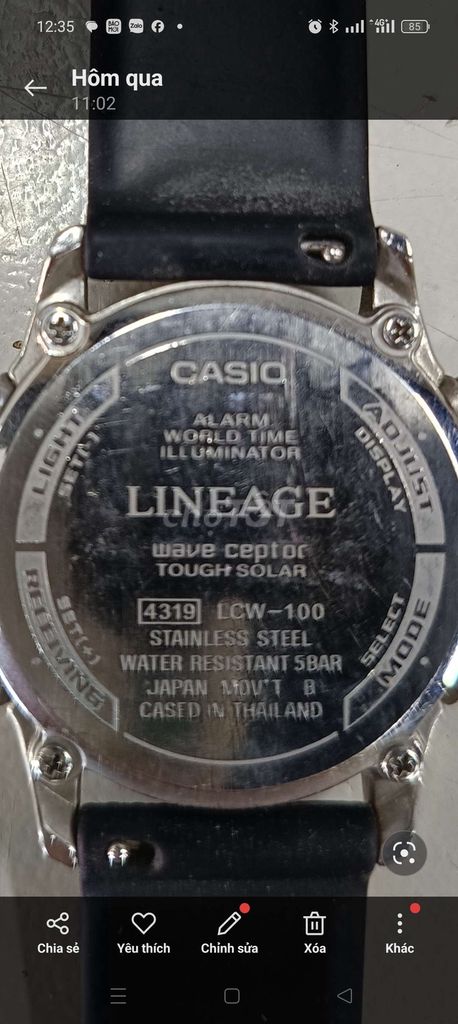 Casio lineage