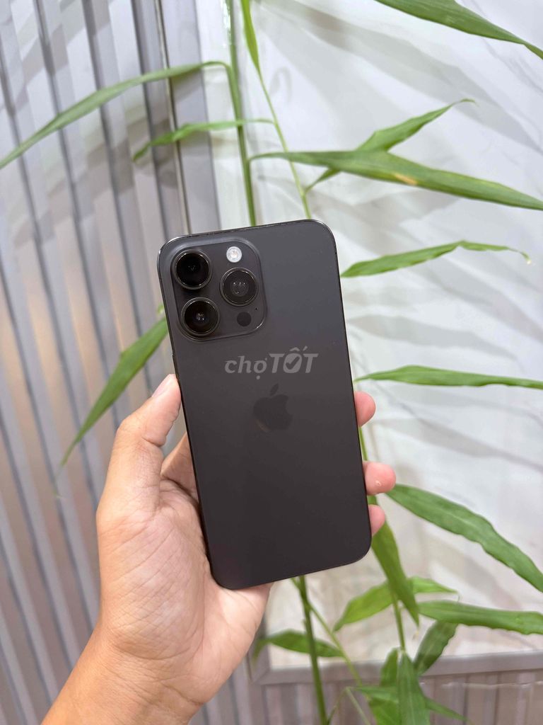 iPhone 15 Pro Max 256G Quốc Tế ko Face. Mua bán Điện thoại tại Quận Thanh Khê Đà Nẵng được đăng bởi Thuỳ Trang hình 1