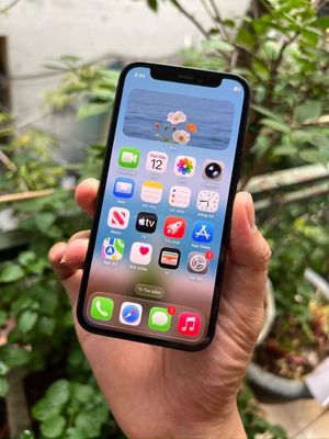 Iphone 12 mini Quốc tế Zin áp ful 256gb,Ios 16.2 