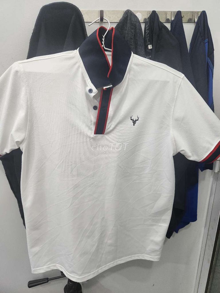 Áo thun có cổ nam vải size M-L Như mới. Mua bán Quần áo tại Quận Gò Vấp Tp Hồ Chí Minh được đăng bởi Mil7 hình 1