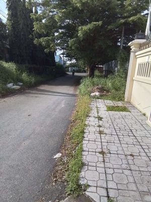 Bán Nhà Đất Mặt Tiền Đường 460 Bình Mỹ Củ Chi - 50x35m Có 400m² Thổ Cư