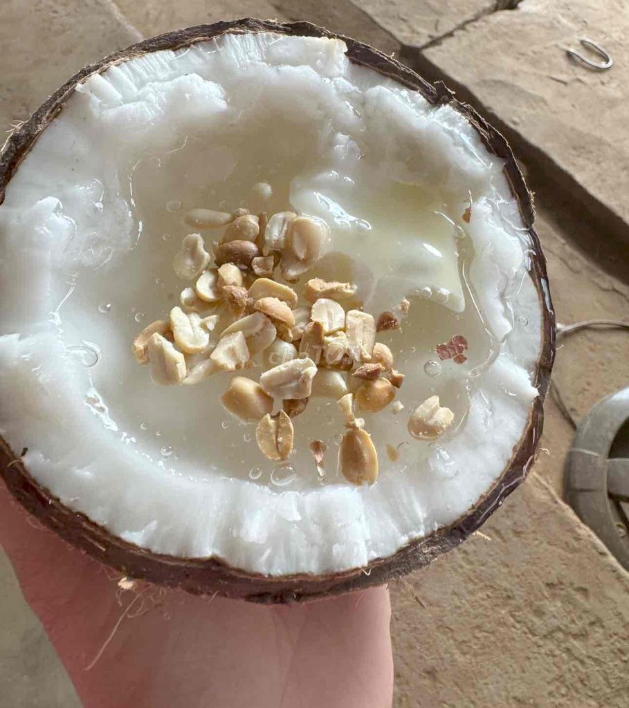 đặc sản dừa sáp.có shíp. Mua bán Đồ ăn, thực phẩm và các loại khác tại Thành phố Thủ Đức Tp Hồ Chí Minh được đăng bởi lúa gạo hình 3
