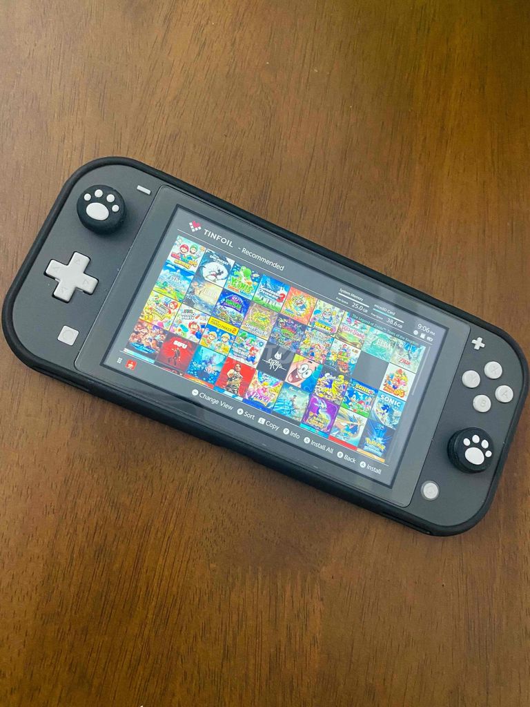 Nintendo switch Lite mod chip 128g