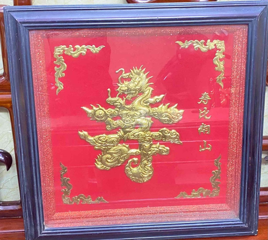 Niên THỌ Tinh Hoa, Sưu Tầm Quý, 50cm