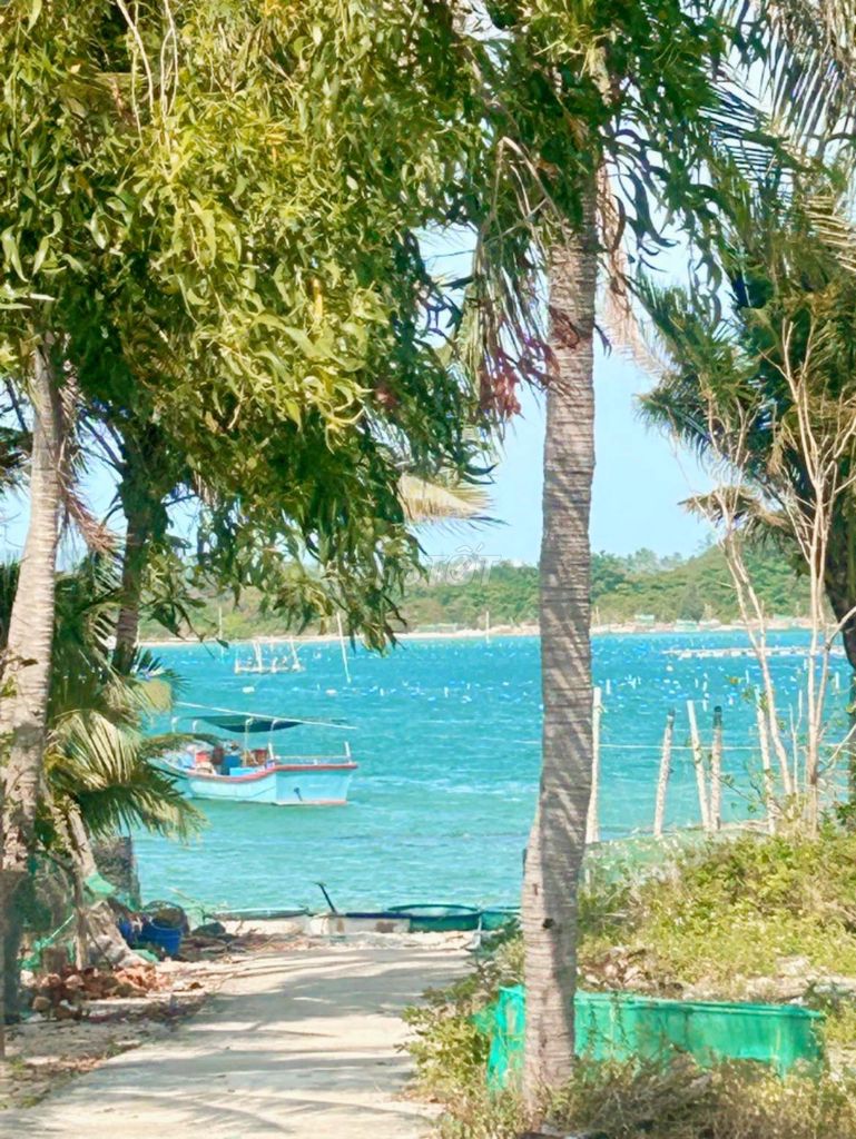 Đất biển Phú Yên - Rẻ - Đẹp - Ngon  DT : 470m2 có 60m2 thổ cư.. Mua bán đất tại Thị xã Sông Cầu Phú Yên được đăng bởi Nguyễn Thị Kiều Trang hình 1