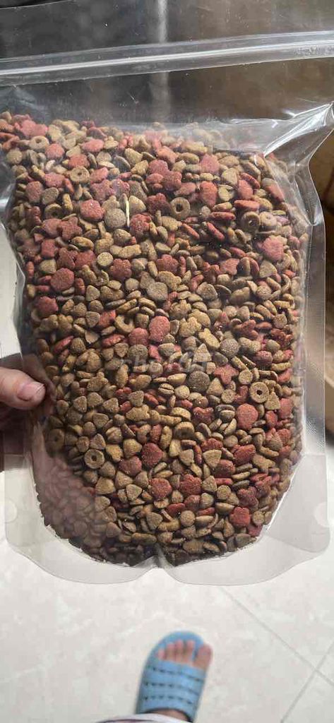 Thức ăn mèo. Mua bán Phụ kiện, Thức ăn, Dịch vụ tại Huyện Thanh Trì Hà Nội được đăng bởi Vũ Kiều Chinh hình 1